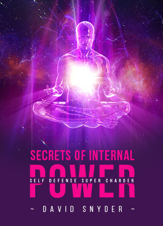 Secrets of Internal Power: Self Defense Supercharger